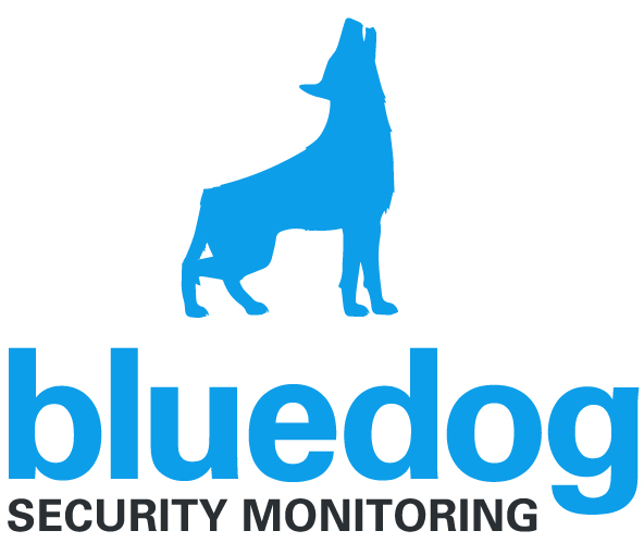 bluedog Microsoft 365 Monitoring