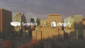 Video for SaneBox
